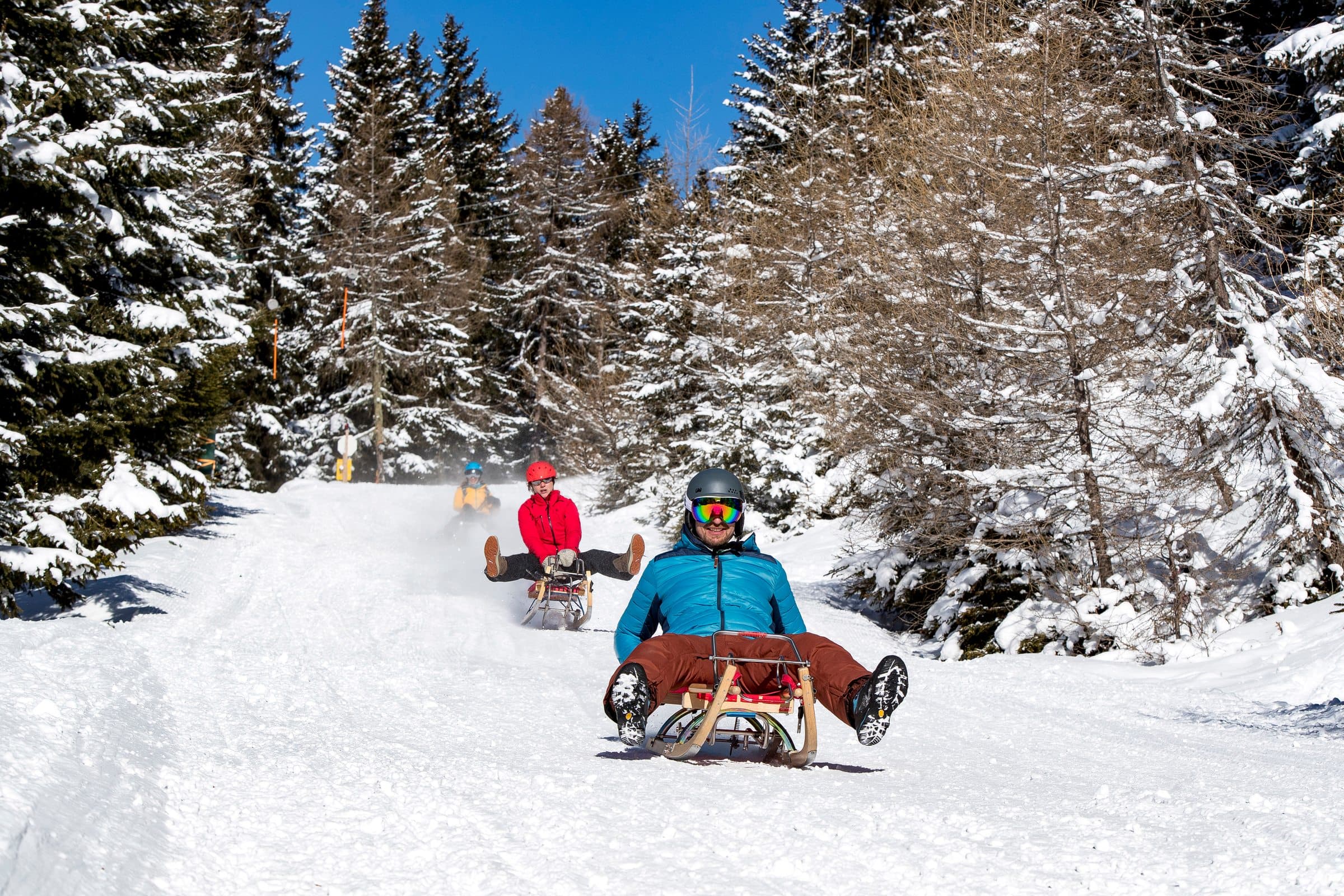 Tobogganing, solo action shot in the forest, Zirbitzkogel